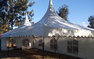 white-dome tent